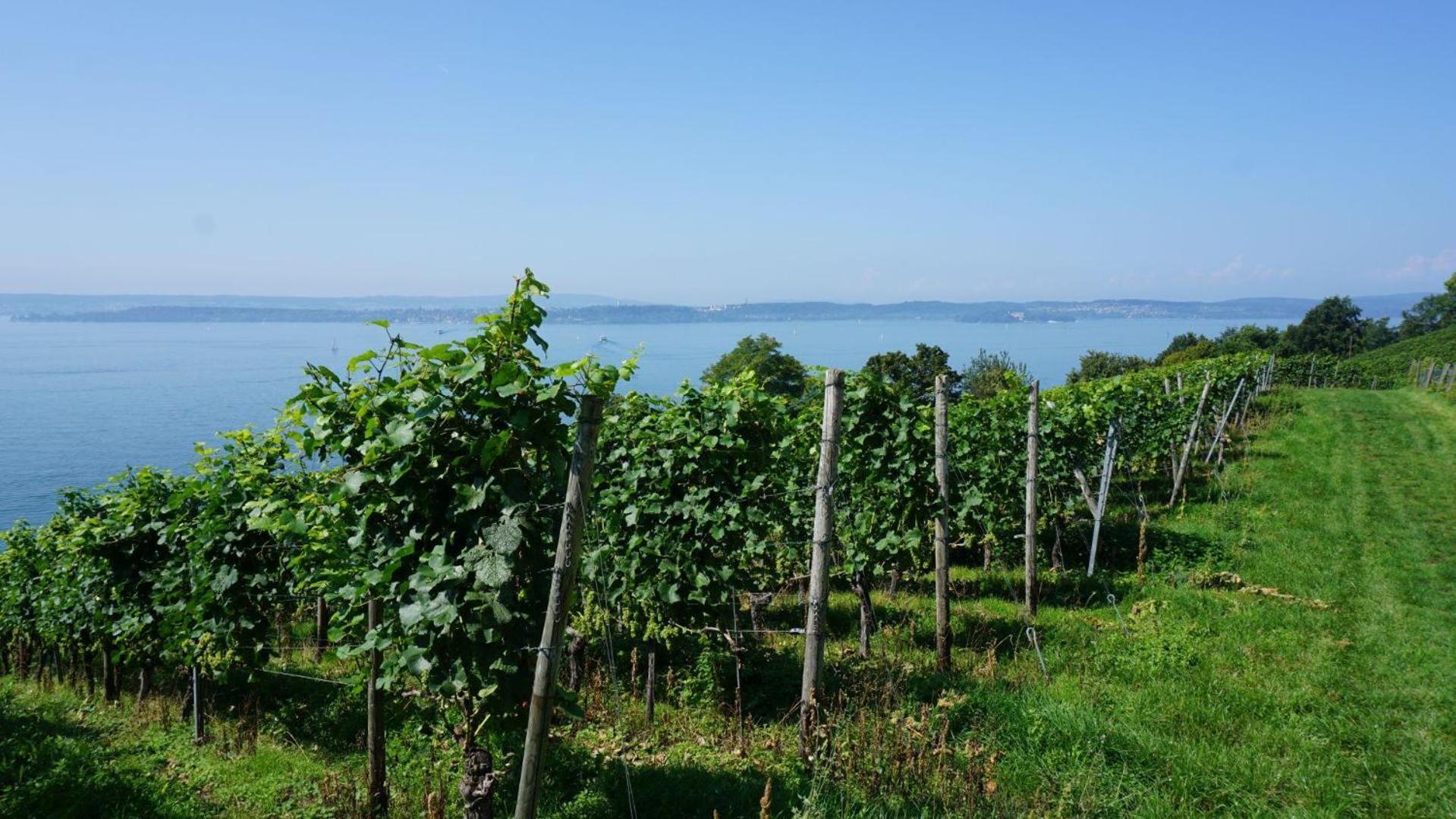 Ferienwohnung Weitsicht Meersburg Εξωτερικό φωτογραφία